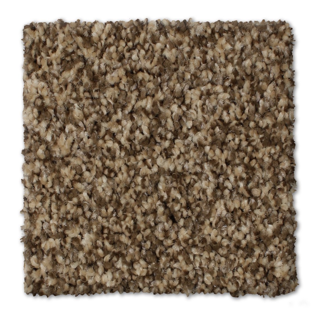 floor-img
